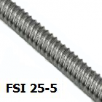 fsi-25-5